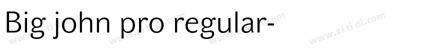 Big john pro regular字体转换